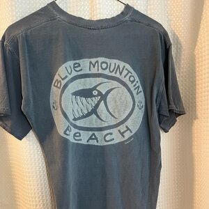 Graphic T’s Blue mountain beach Calloway gardens